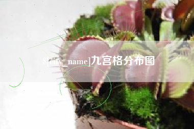 丽江九宫格分布图