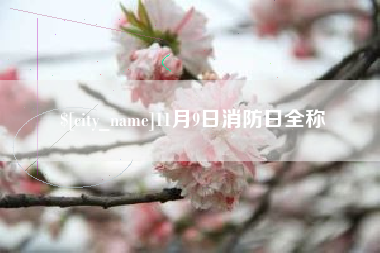 丽江11月9日消防日全称