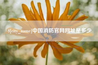 丽江中国消防官网网址是多少