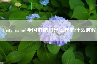 丽江全国消防日是每年的什么时候