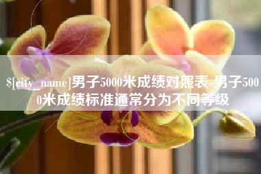 丽江男子5000米成绩对照表-男子5000米成绩标准通常分为不同等级