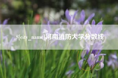 丽江河南消防大学分数线