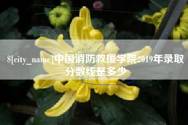 丽江中国消防救援学院2019年录取分数线是多少