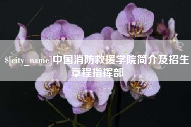 丽江中国消防救援学院简介及招生章程指挥部