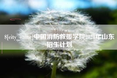 丽江中国消防救援学院2021年山东招生计划
