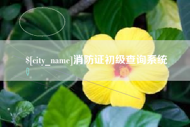 丽江消防证初级查询系统