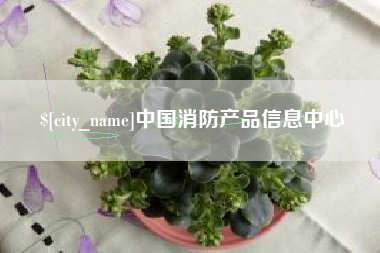 丽江中国消防产品信息中心