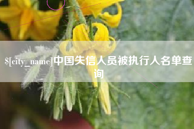 丽江中国失信人员被执行人名单查询