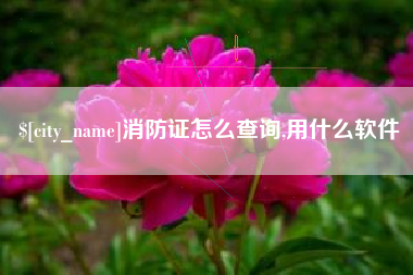 丽江消防证怎么查询,用什么软件