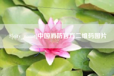 丽江中国消防官方二维码图片