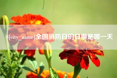 丽江全国消防日的日期是哪一天