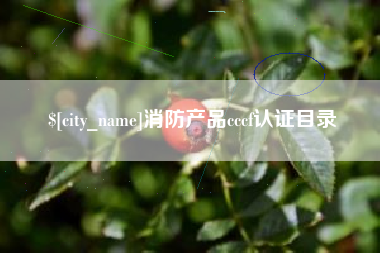 丽江消防产品cccf认证目录