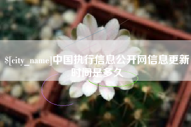 丽江中国执行信息公开网信息更新时间是多久