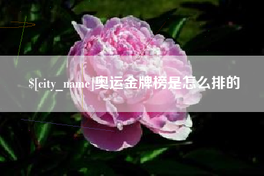 丽江奥运金牌榜是怎么排的
