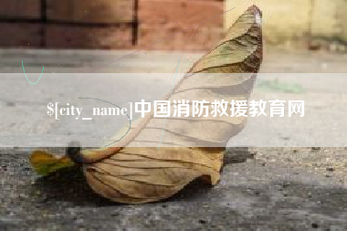 丽江中国消防救援教育网