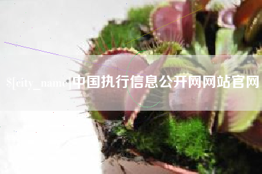 丽江中国执行信息公开网网站官网