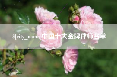 丽江中国十大金牌律师名单