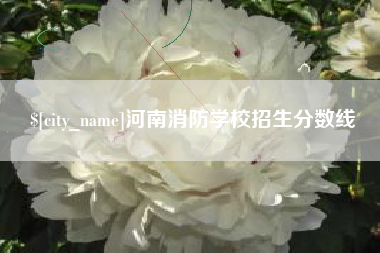 丽江河南消防学校招生分数线