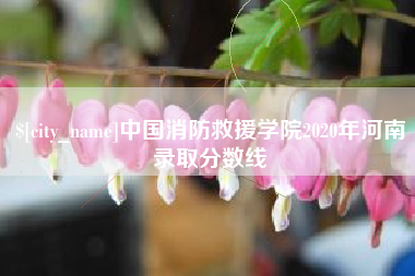 丽江中国消防救援学院2020年河南录取分数线