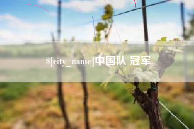 丽江中国队 冠军