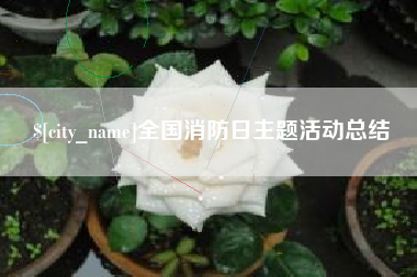 丽江全国消防日主题活动总结