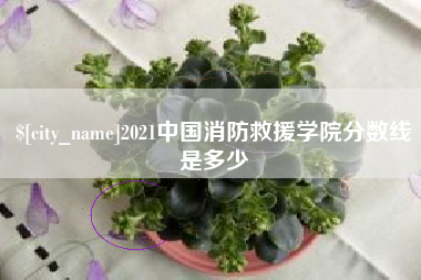 丽江2021中国消防救援学院分数线是多少