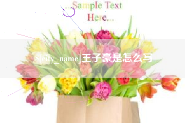 丽江王子豪是怎么写