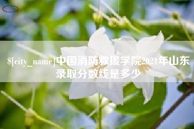 丽江中国消防救援学院2021年山东录取分数线是多少