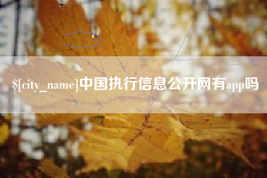 丽江中国执行信息公开网有app吗
