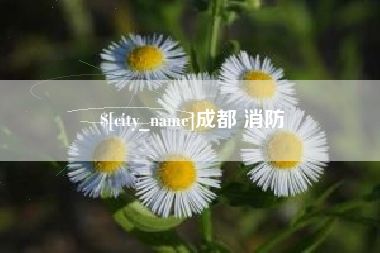 丽江成都 消防