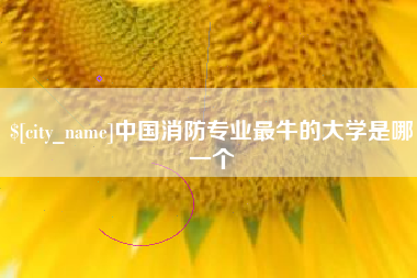 丽江中国消防专业最牛的大学是哪一个