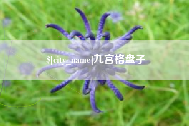 丽江九宫格盘子