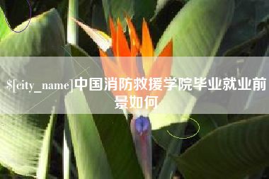 丽江中国消防救援学院毕业就业前景如何