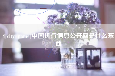 丽江中国执行信息公开网是什么东西