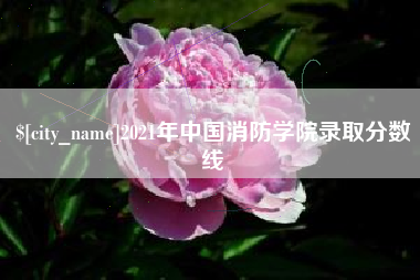 丽江2021年中国消防学院录取分数线