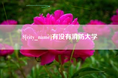 丽江有没有消防大学