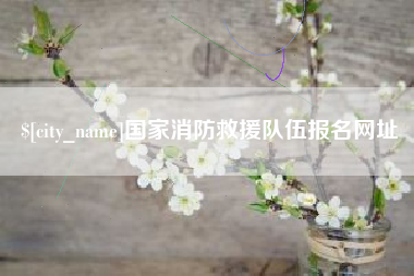 丽江国家消防救援队伍报名网址