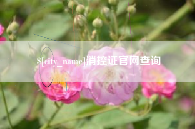 丽江消控证官网查询