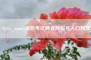 丽江消防考试网官网报名入口网址