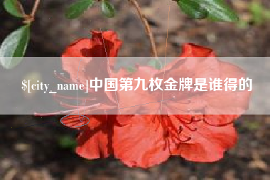丽江中国第九枚金牌是谁得的