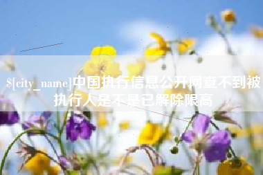 丽江中国执行信息公开网查不到被执行人是不是已解除限高