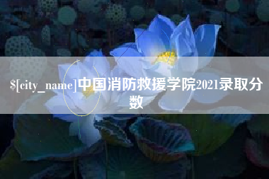 丽江中国消防救援学院2021录取分数