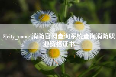 丽江消防官网查询系统查询消防职业资格证书