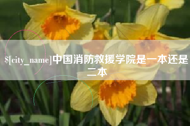 丽江中国消防救援学院是一本还是二本