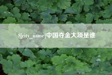 丽江中国夺金大项是谁