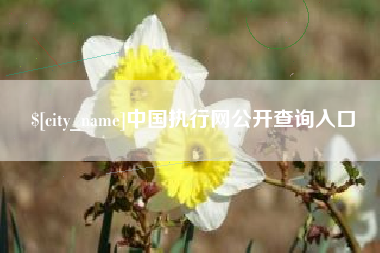 丽江中国执行网公开查询入口