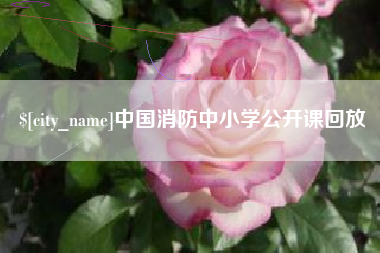 丽江中国消防中小学公开课回放