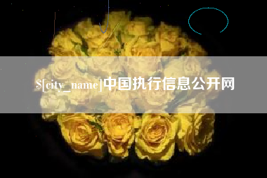 丽江中国执行信息公开网