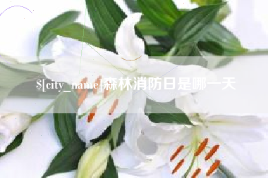 丽江森林消防日是哪一天