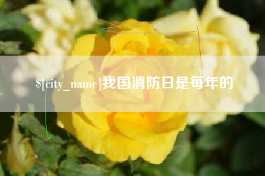 丽江我国消防日是每年的